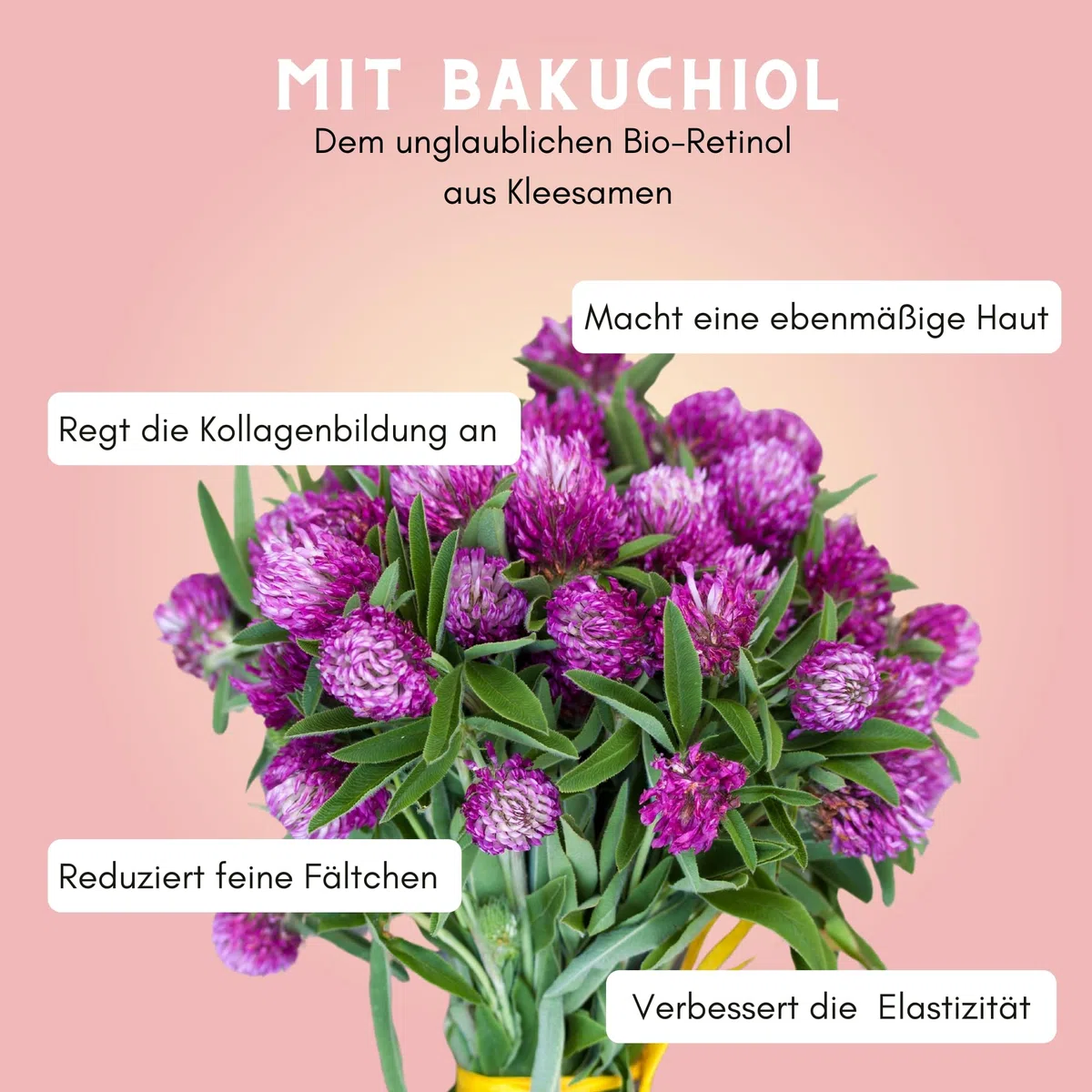FÜNFSINNE | Dermipura | The Hero | Fortschrittliches Retinol Serum für glattere Haut mit 3fach-Komplex aus Granaktivem Retinol (Vit. A), Bakuchiol, Niacinamid (Vit.B3) | 50ml