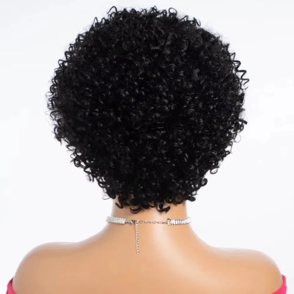Haarpflege 100% Echthaar Lange Verworrene Lockige Bob-Perücke Für Frauen Vollständig Maschinell Hergestellt Ohne Kleber(Black)