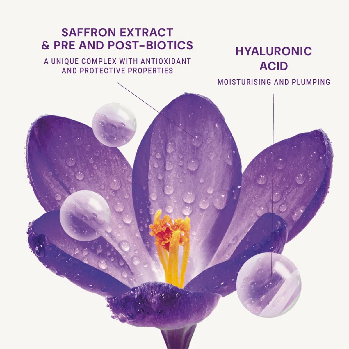 Panier des Sens - Hautpflege-Set - Anti-Aging-Routine Lift & Straffung | Leichte Creme & Serum gegen Falten mit Saffron Extrakt - Set für Frauen - Feuchtigkeitscreme für das Gesicht - 30ml & 50ml