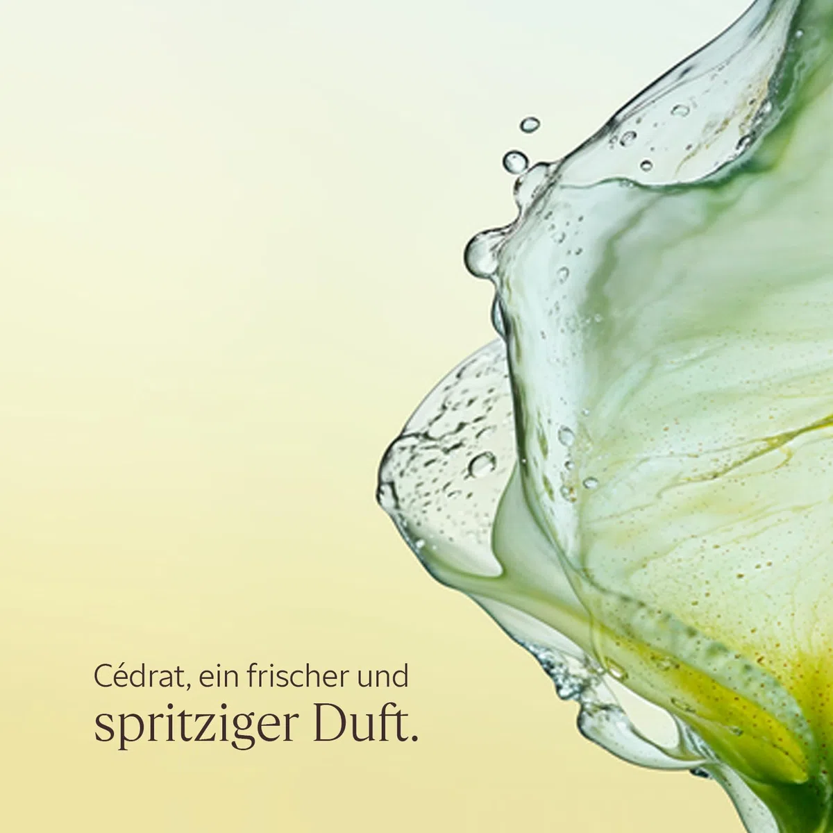 L'OCCITANE - Geschenkbox Cédrat Körperroutine