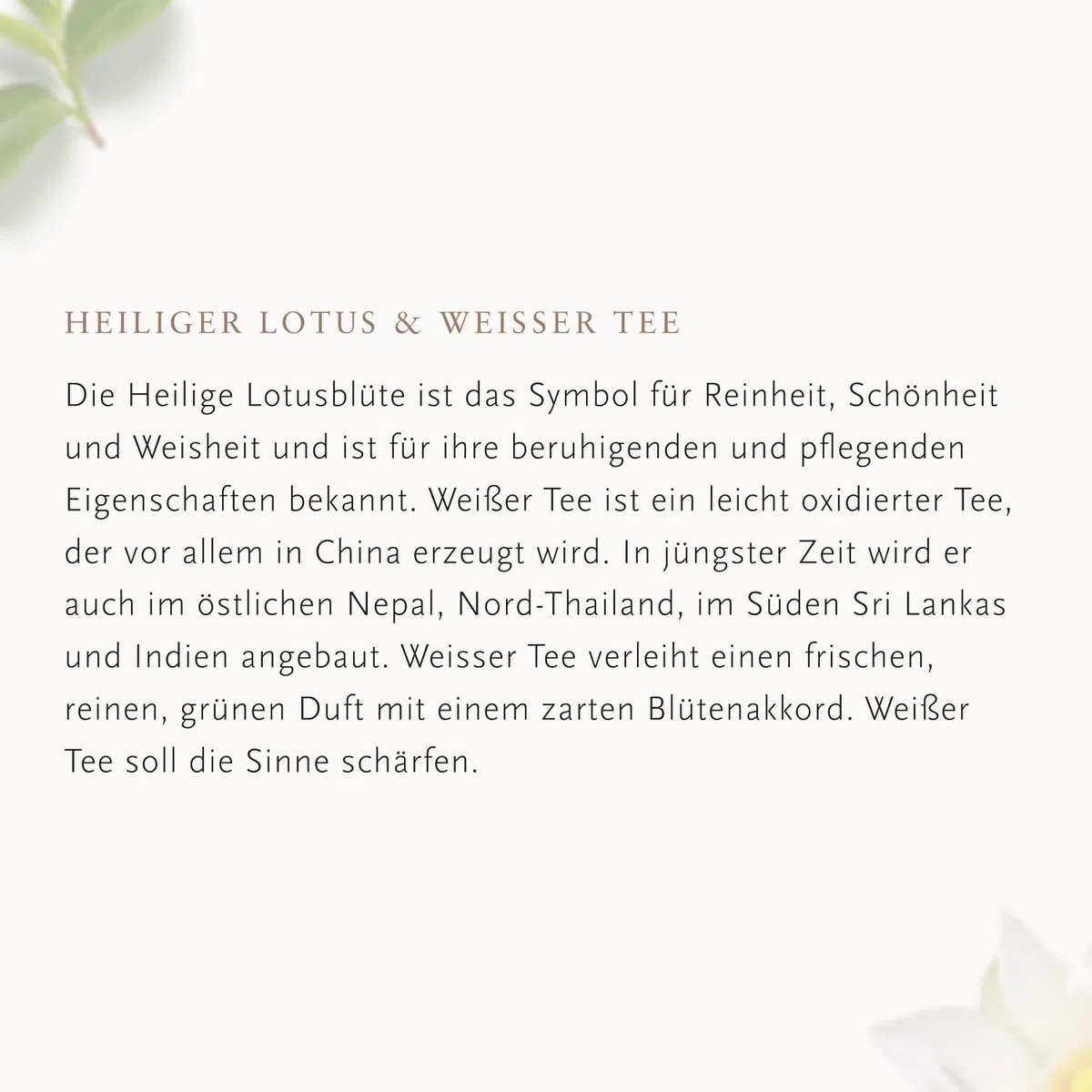RITUALS Geschenkset von The Ritual of Karma, groß - mit sommerlichem heiligem Lotus und weißem Tee - feuchtigkeitsspendend kühlend, 2022, 1114207