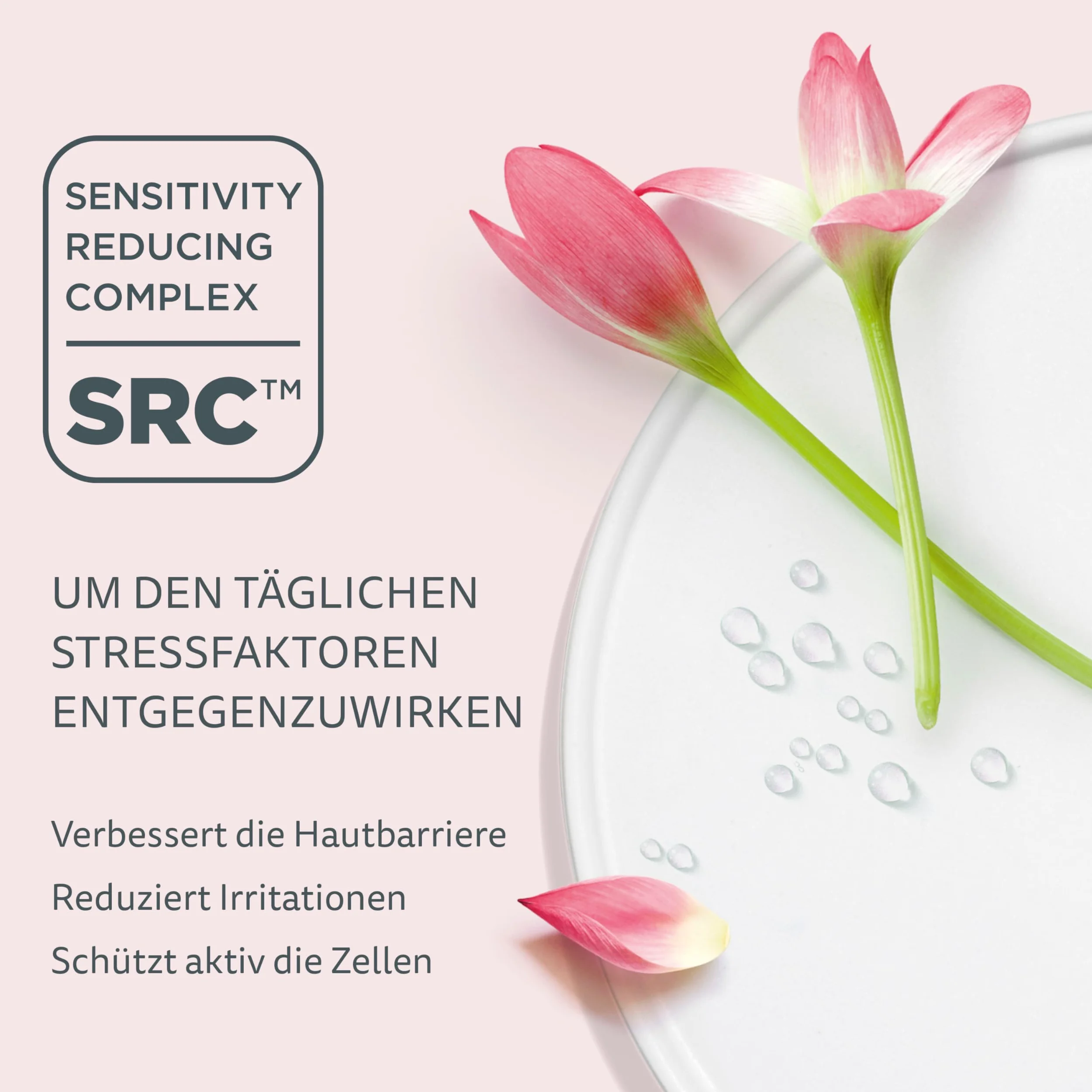 Declaré Caviar Extra Nourishing 200 ml - Reichhaltige Kaviar Luxus Pflege - Anti Aging Creme für anspruchsvolle & trockene Haut mit Kaviar Extrakt, Squalan, Cupuacu-Butter, geeignet für alle Hauttypen