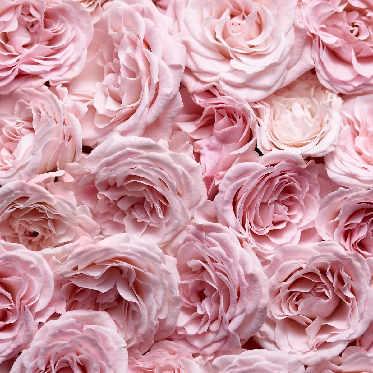 Escada Especially Eau de Parfum, frisch-blumiger Damenduft für glamouröse Frauen