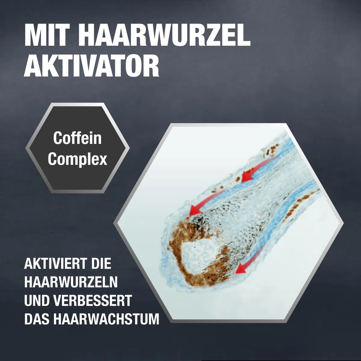 Alpecin Coffein-Liquid - 4 x 200 ml - Haarwasser zur Vorbeugung von erblich bedingtem Haarausfall bei Männern – zur Stärkung der Haarwurzel