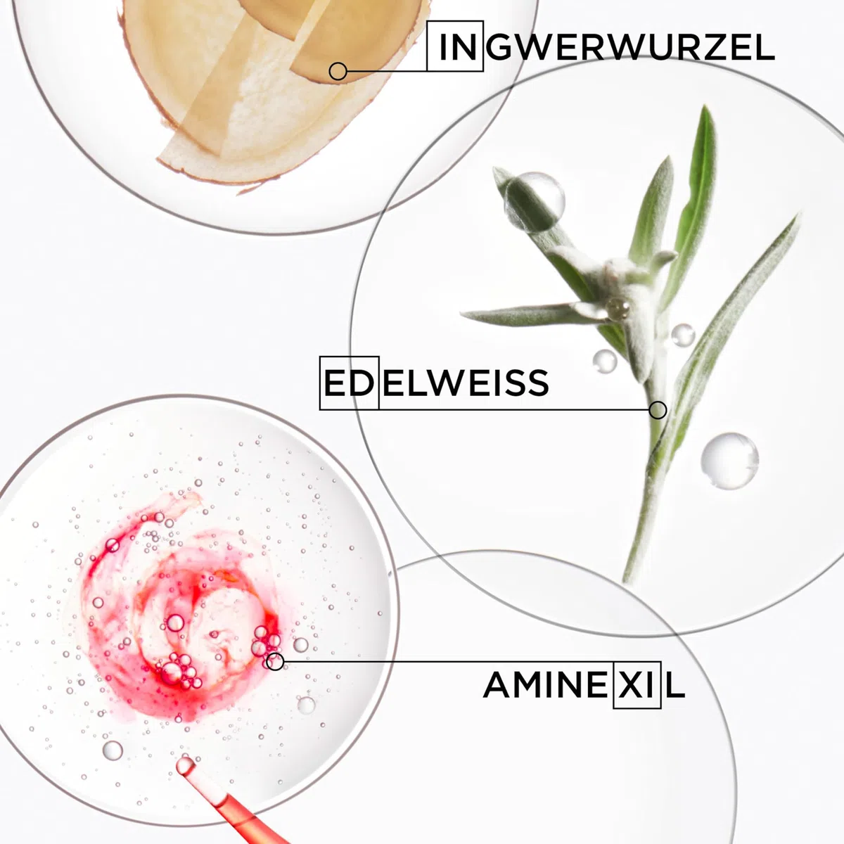 Kérastase Pflegeset mit Shampoo und Anti-Haarausfall Serum für feines und brüchiges Haar, Haarbad gegen Haarverlust und Haarbruch, Bain Hydra-Fortifiant & Sérum Anti-Chute Fortifiant, Genesis