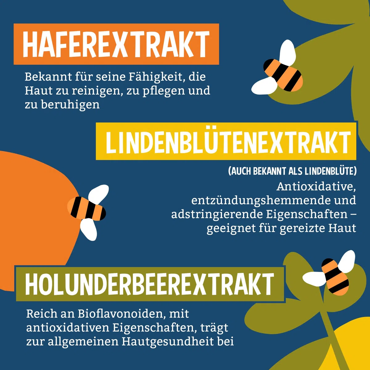 Faith In Nature Natürliches Grapefruit & Orange Duschgel, Energiespendendes Duschgel, Vegan und tierversuchsfrei, Ohne SLS oder Parabene, 5 L Nachfüllpack