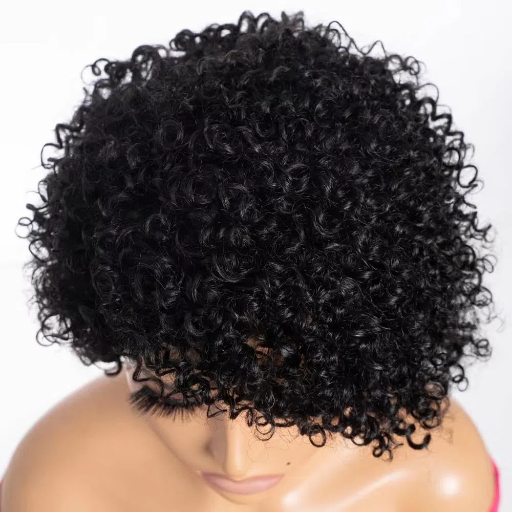 Haarpflege 100% Echthaar Lange Verworrene Lockige Bob-Perücke Für Frauen Vollständig Maschinell Hergestellt Ohne Kleber(Black)