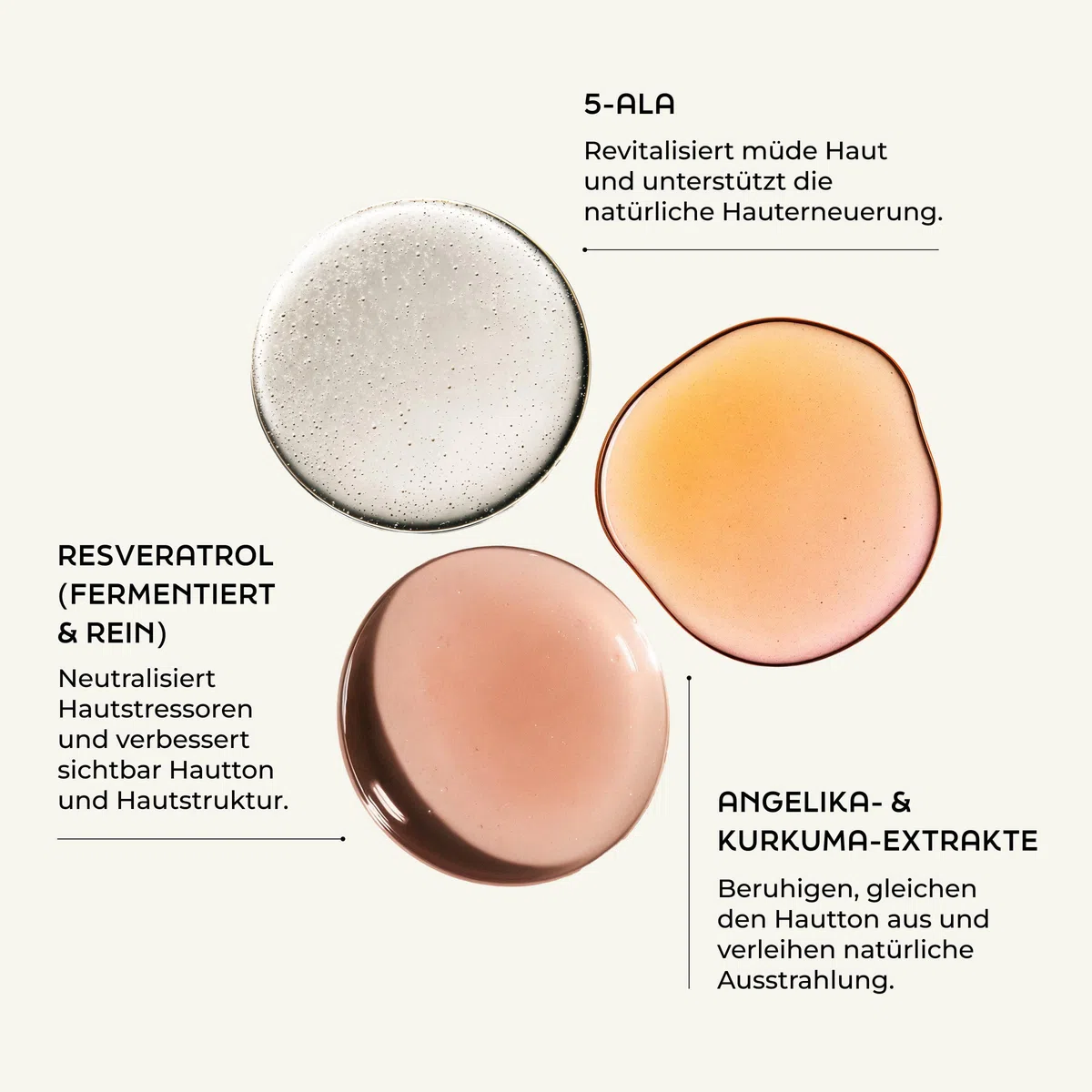 Regenerierende Nachtcreme Intensiv 50ml - mit 5-ALA, Ceramide und Resveratrol - bei trockener Haut, dermatest sehr gut, vegan Gesichtscreme für die Nacht Gesichtspflege Nacht Creme