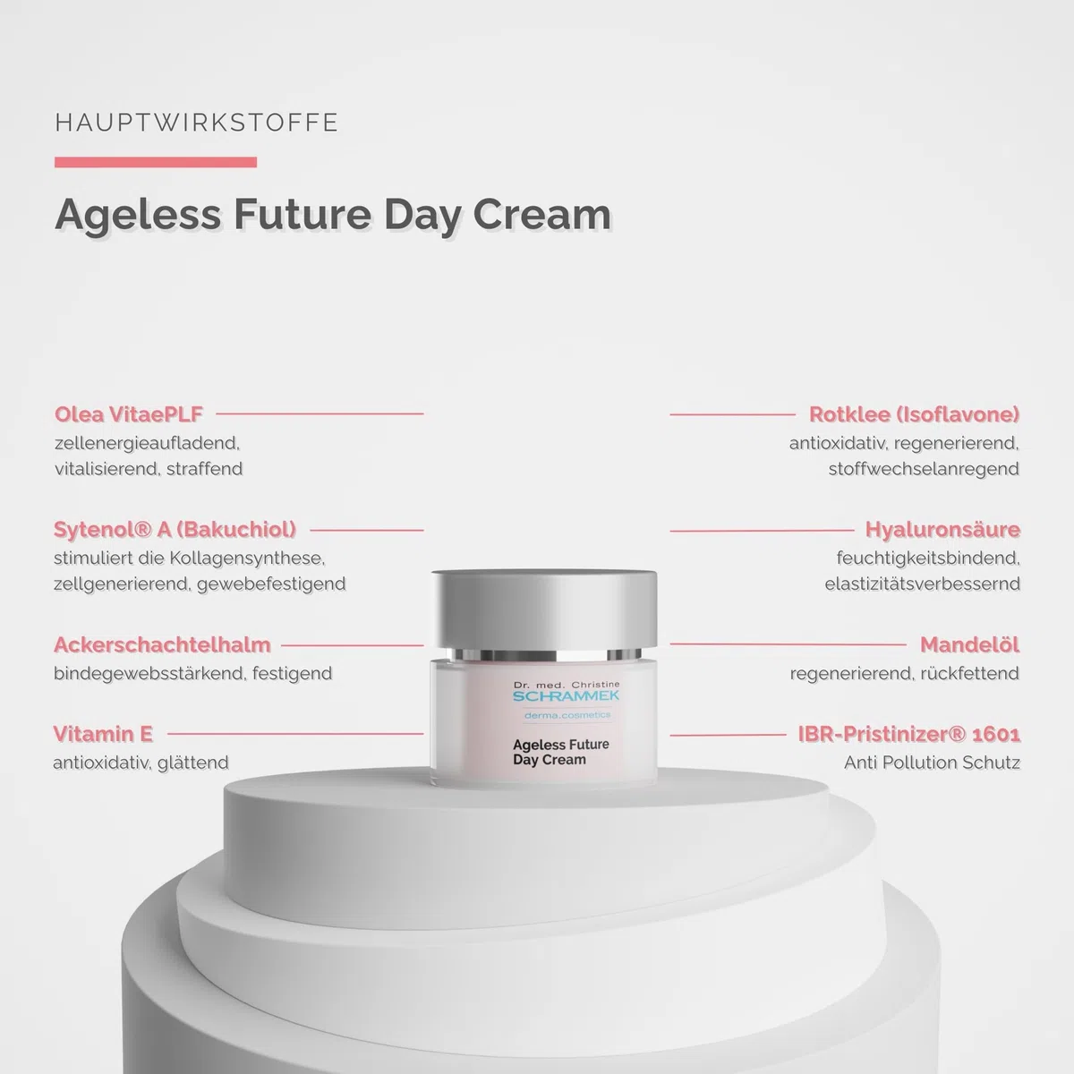 SCHRAMMEK Ageless Future Day Cream, 1 x 50 ml