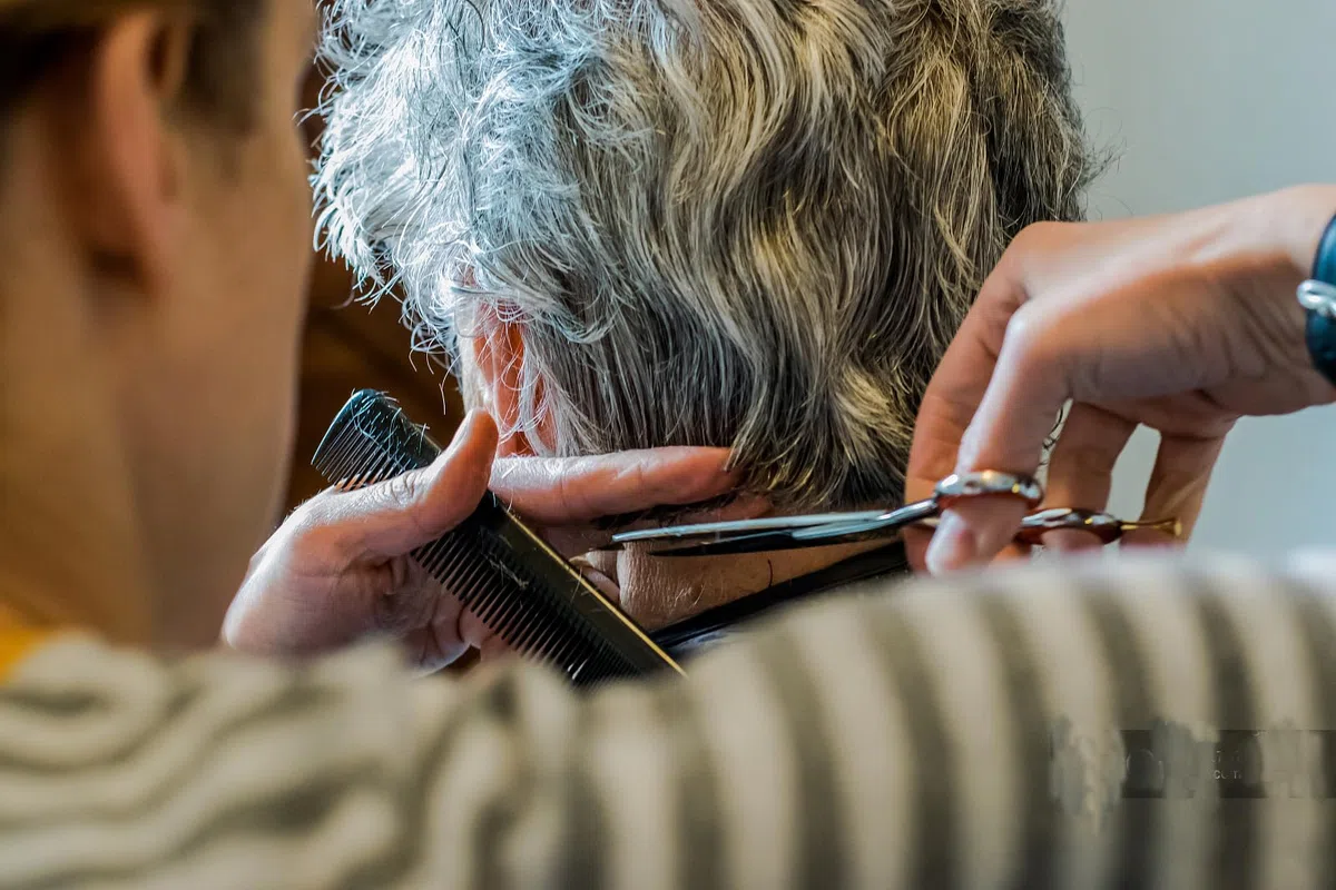 Wenshall Friseurschere für Professionelle Salons Haarschneideschere - Prämie Schere Haare Schneiden mit Extra Scharfen und Präzisen Schnitten Haarschere für Männer, Frauen und Erwachsene（6,5", Lila）