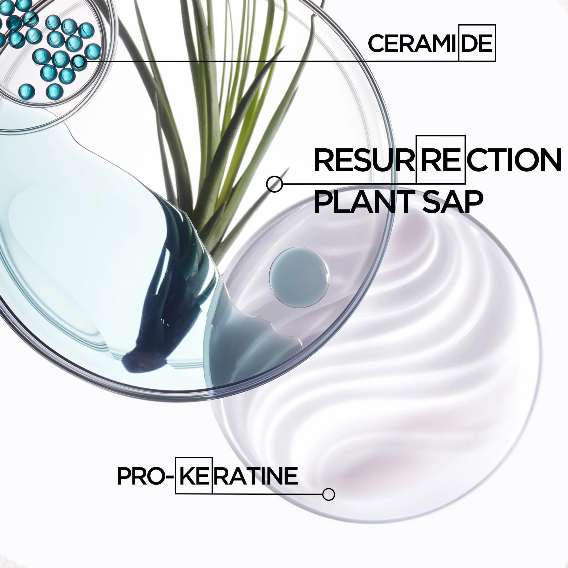 Kérastase Haarmaske für geschädigtes und strapaziertes Haar, Aufbauend und stärkend, Masque Force Architecte, Résistance, 200 ml