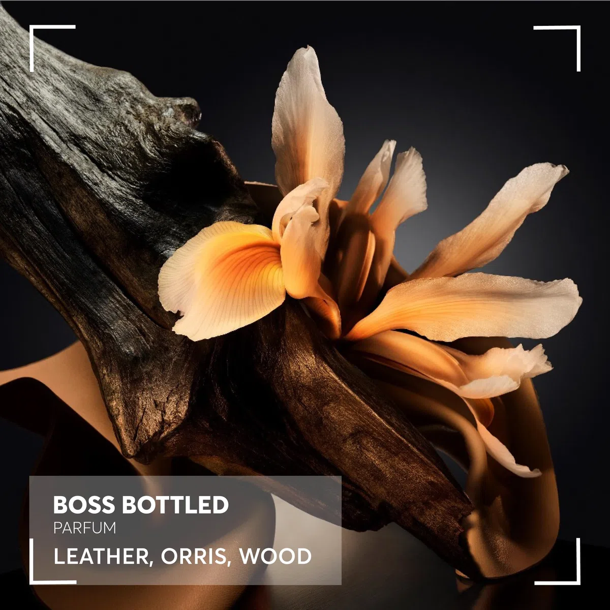 HUGO BOSS Estuche Boss Bottled Parfum, für Damen und Herren, ideal für einen langanhaltenden Duft, mit 100 ml