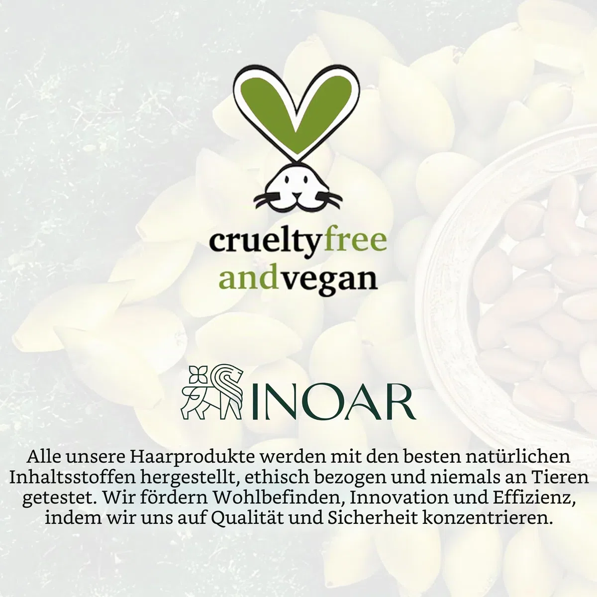 INOAR Duo POS Progress Shampoo und Haarkur Set 250 ml