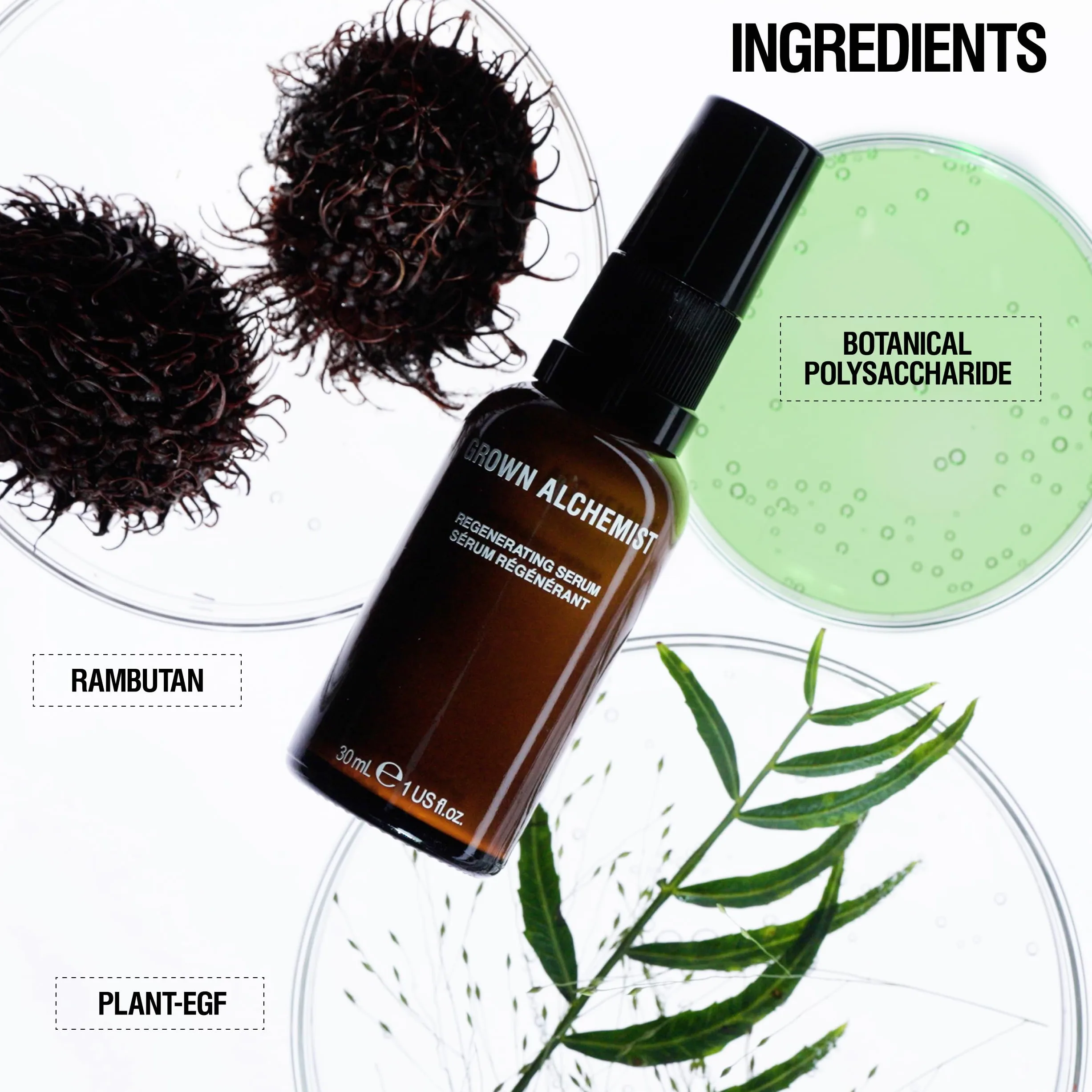 Grown Alchemist Regenerating Face Serum - Anti Aging Serum gegen Falten mit Peptiden, Proteinen & pflanzlichem Kollagen, aufhellendes, feuchtigkeitsspendendes Gesichtsserum mit Antioxidantien, 30ml