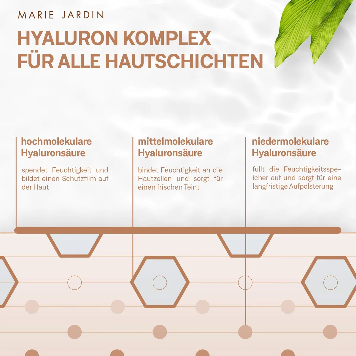 Hyaluron Serum mit Vitamin C und Q10, hochdosiert, 150 ml, mit geprüftem 5-fach Anti-Aging-Komplex, Basis für Make-up, Dreierpackung 3x50ml