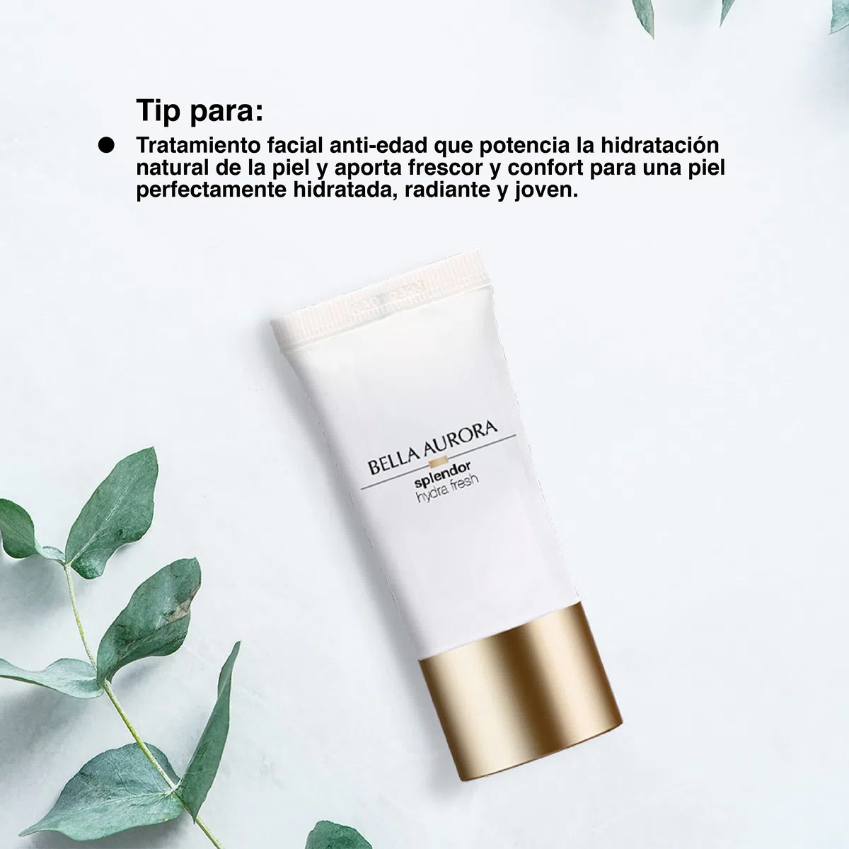 BELLA AURORA Splendor Hydra Fresh 50 ml, erfrischende Anti-Aging-Gesichtscreme, 24 Stunden Feuchtigkeit, Anti-Falten, LSF20-Schutz, für trockene Haut, Frische und Komfort, mit Bambuswasser
