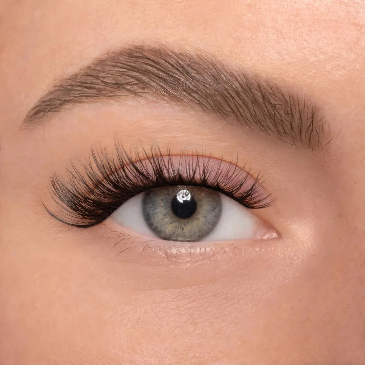 AYLASHES DIY Wimpernextensions Maxi Box 6 Paar künstliche Wimpern Cat Eye Lashes Set