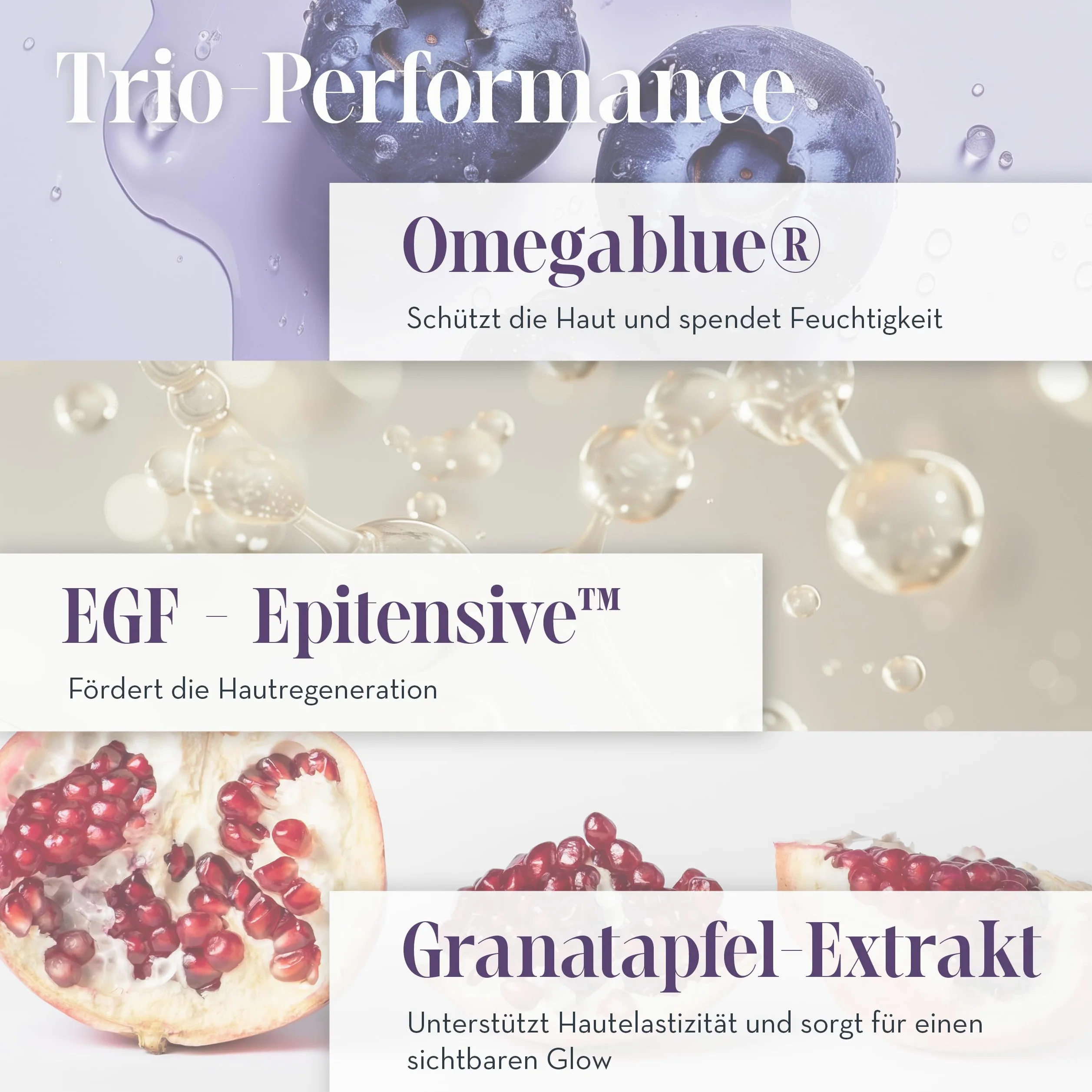 JEAN D'ARCEL Anti Aging 24h Gesichtscreme - CRÈME EGF EFFET INTENSE 50 ml - Stärkt den natürlichen Hautschutz – Verbessert die Hautfestigkeit – Fördert die Elastizität