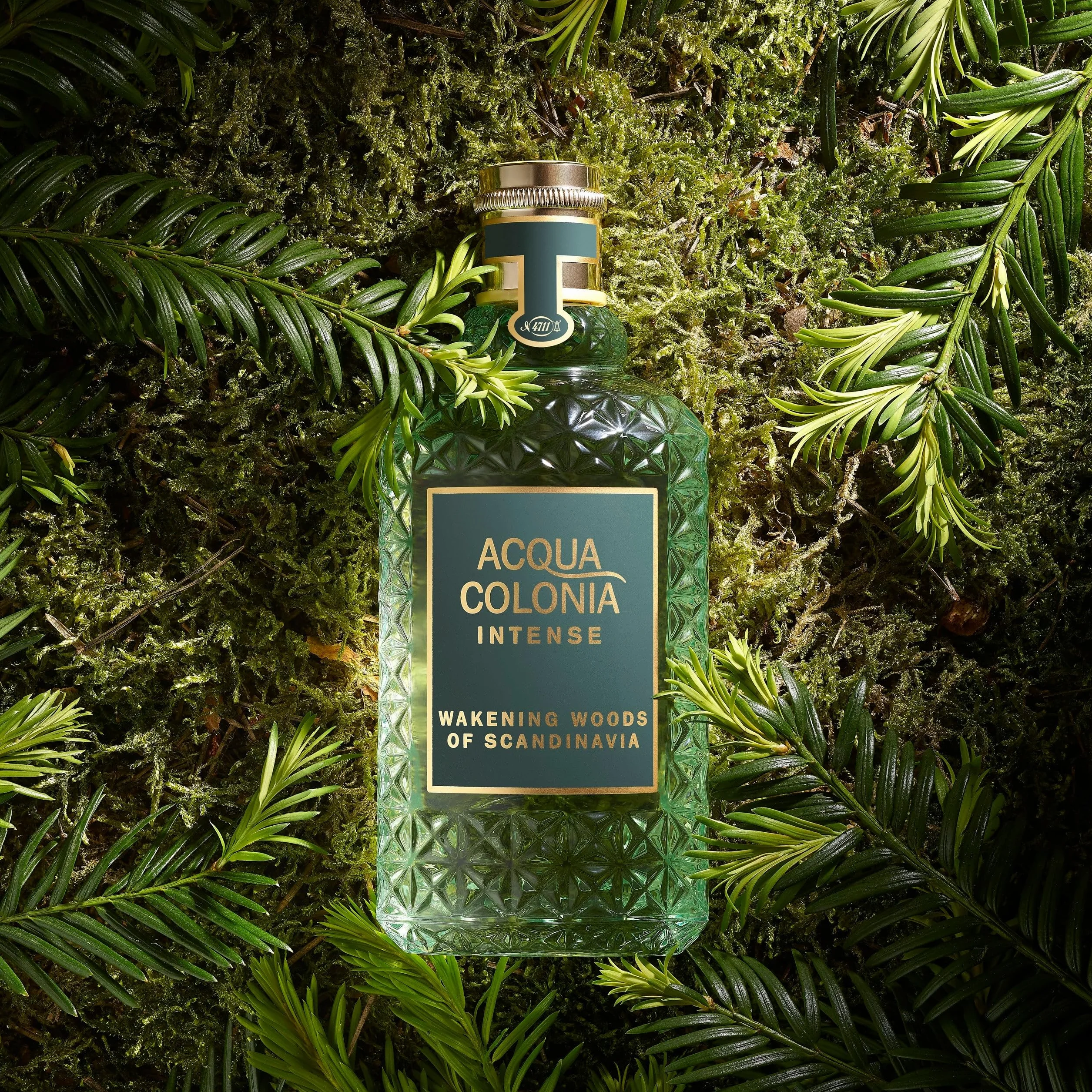 4711 Acqua Colonia® Intense Wakening Woods of Scandinavia Eau de Cologne 50 ml Natural Spray