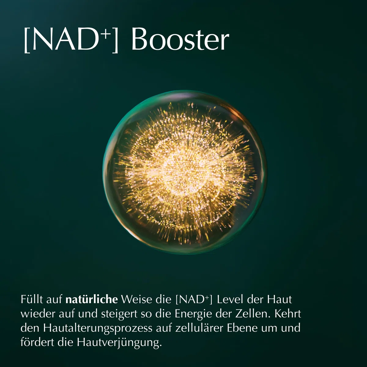 WELEDA Cell Longevity Ultra Protect & Lift Absolute Night Recovery Cream - Nachtpflege Creme mit [NAD⁺] Booster & Astaxanthin schützt vor Hautalterung & strafft (Naturkosmetik, vegan, 50ml)