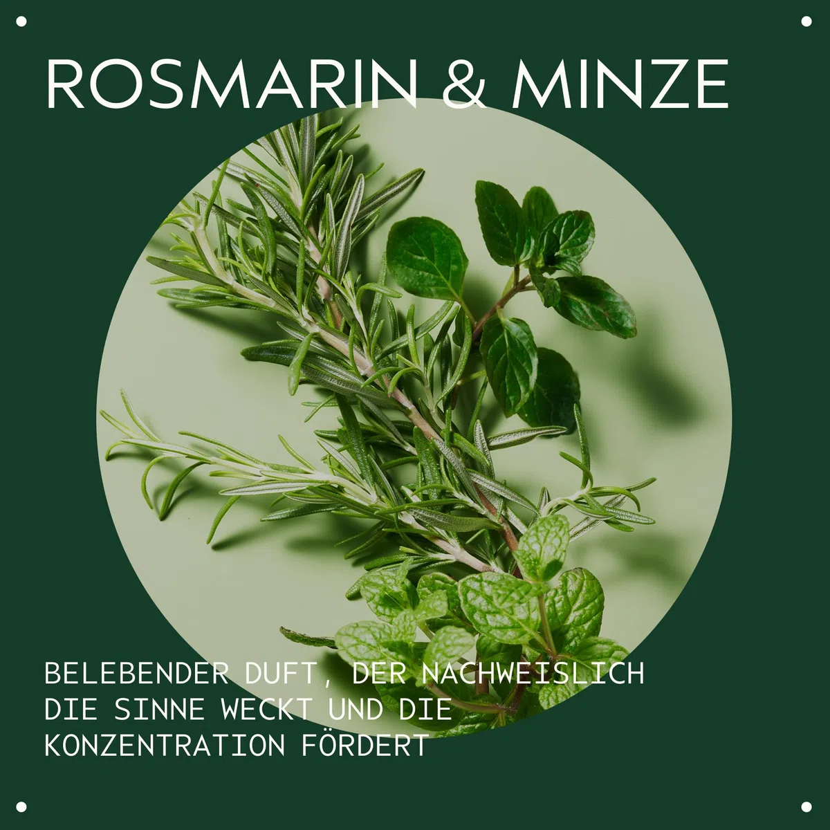 Aveda Rosemary Mint Weightless Conditioner, leichter Conditioner, verleiht Fülle und Glanz, für normales bis fettiges Haar, feine bis mittlere Haartypen, farbsicher, zu 97% natürlichen Ursprungs*