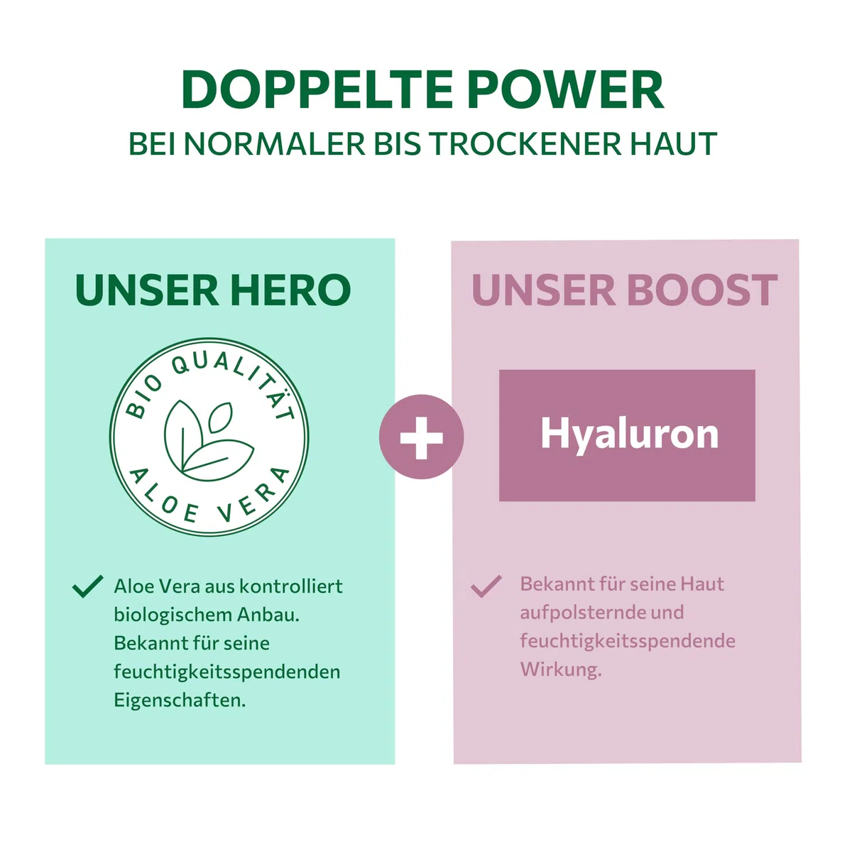 alkmene Aloe Vera Gesichtsfluid mit Hyaluron 6x 50 ml - vegan | Aloe Vera Gel Gesicht für normale bis trockene Haut - Feuchtigkeitscreme - Gesichtscreme, Alea Vera Gel, Aloeveragel
