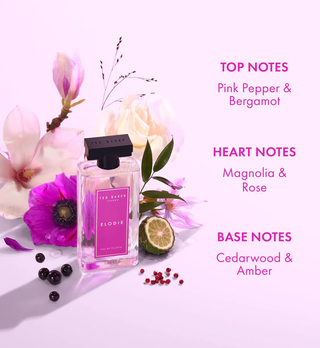 Ted Baker Miniatures Handtaschen-Geschenkset für Damen, 3 x 15 ml Eau de Toilette Elodie, Polly und Kasia, fruchtig-blumige und bernsteinfarbene Miniaturen in einer Deluxe-Handtaschenbox