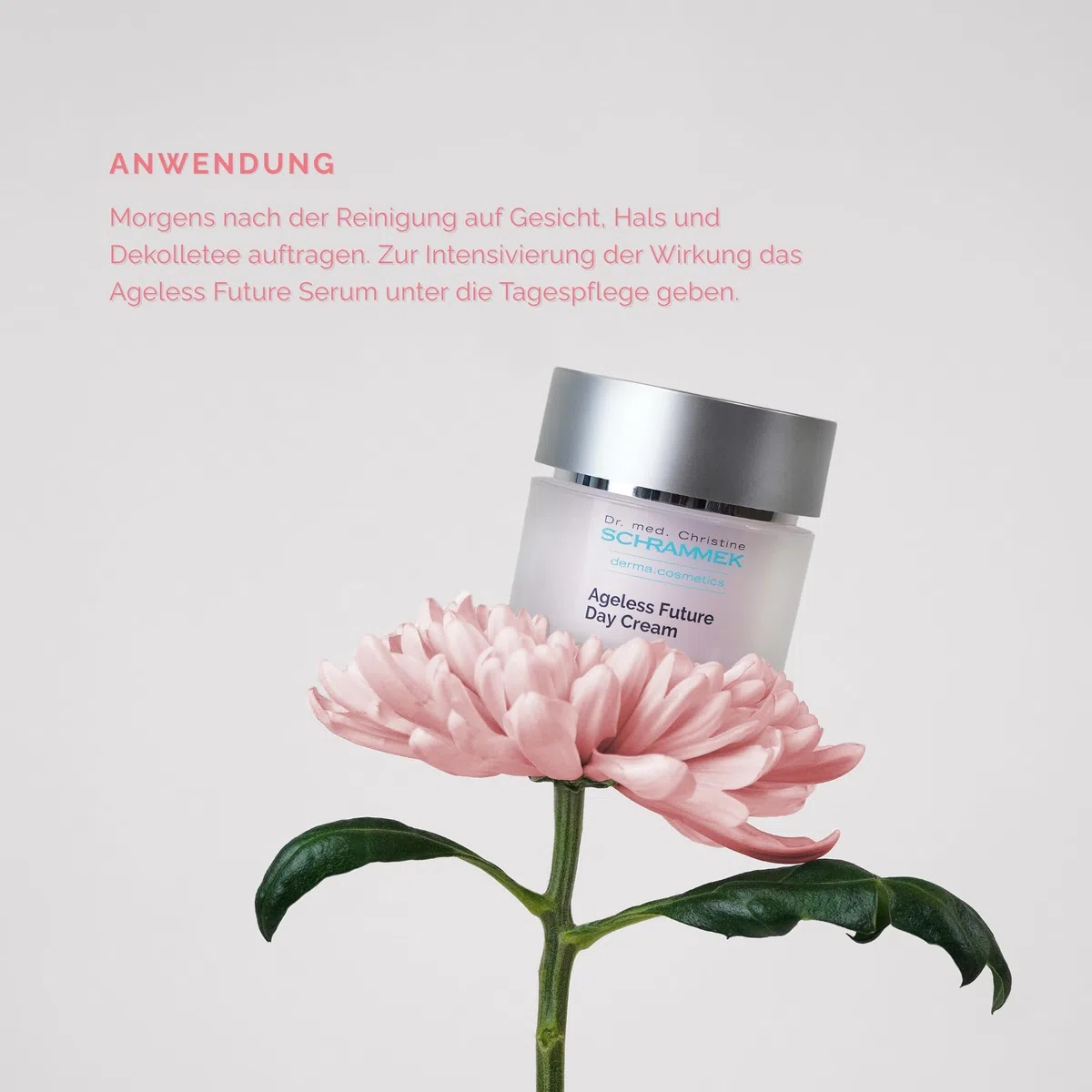 SCHRAMMEK Ageless Future Day Cream, 1 x 50 ml