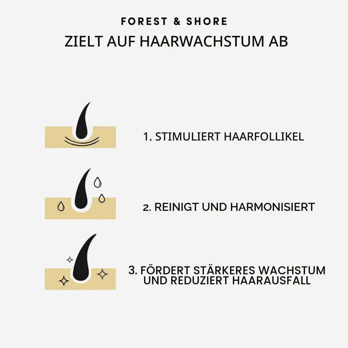 Forest & Shore Shampoo und Conditioner Set für Haarwachstum – Rosmarin Shampoo gegen Haarausfall mit Biotin, Koffein & Baicapil – 98% Natürlich, Sulfatfrei & ohne Silikone – Für Damen & Herren – 500ml