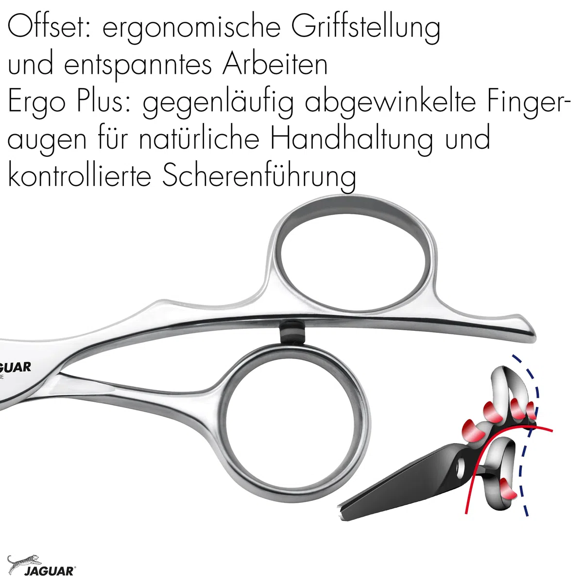 Jaguar Haarschere Silver Line Fame, 5,5 Zoll