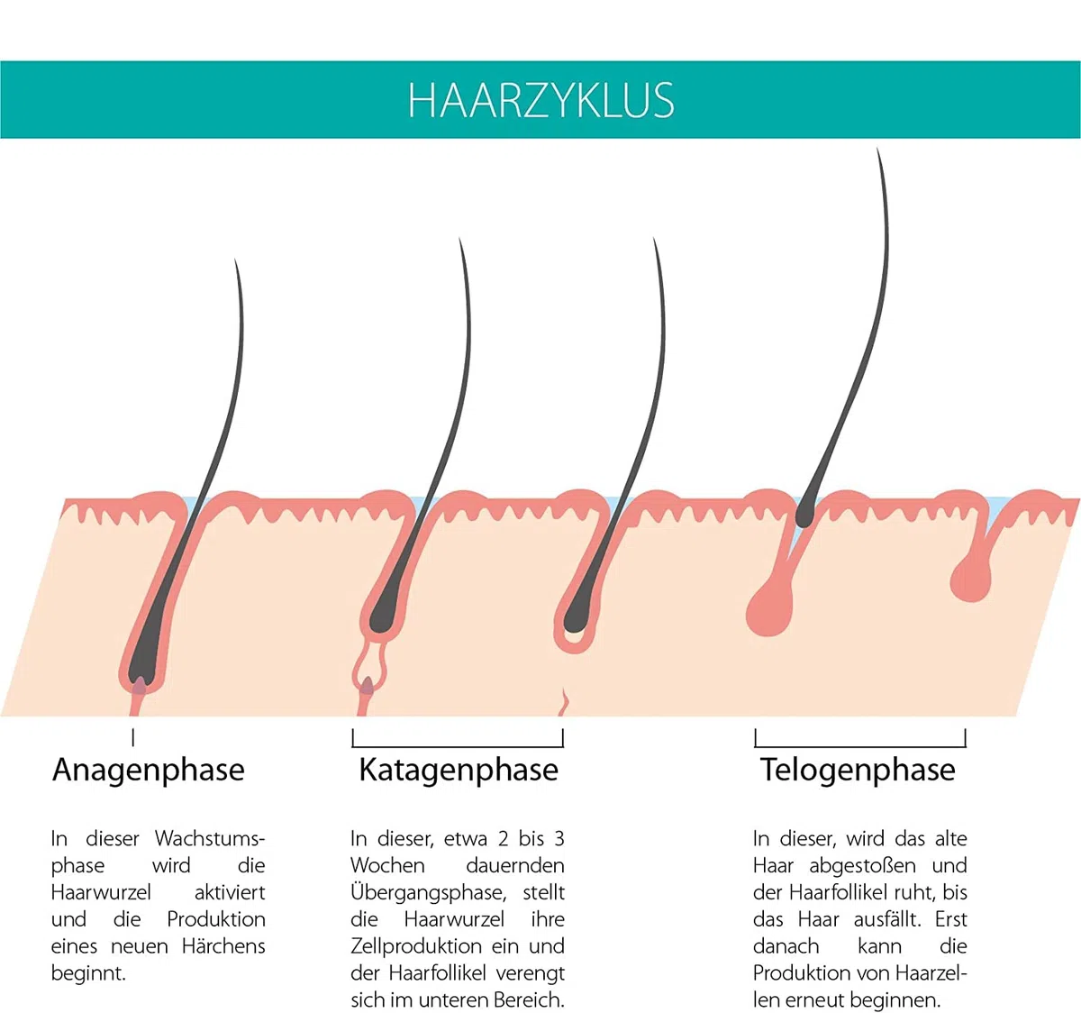 Wimpern Serum Boost Formula 2.0 – Wimpern- & Augenbrauenserum mit Aloe Vera – Booster für längere & dichtere Wimpern – hochverträglich & einfach aufzutragen, 6 ml