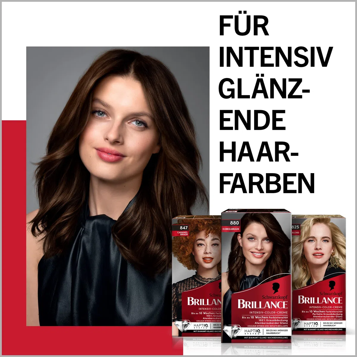 Brillance Intensiv-Color-Creme 874 Samtbraun (6x 160 ml), dauerhafte Haarfarbe mit Diamant-Glanz und Pflege-Conditioner, für 10 Wochen Farbintensität