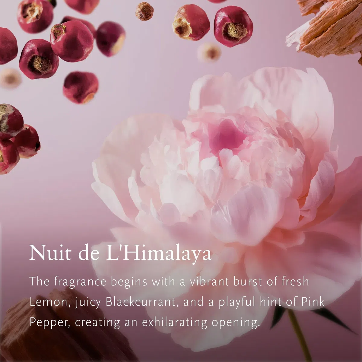 RITUALS Eau de Parfum Nuit de l’Himalaya, Rosa Pfeffer, Rose, Himalaya-Pfingstrose, Moschus und Zedernholz Duft, Bestes Damenparfum, 50 ml