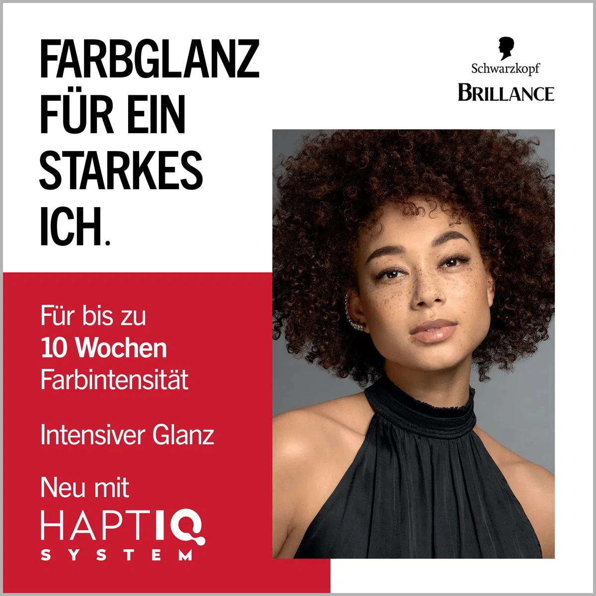 Brillance Intensiv-Color-Creme 874 Samtbraun (6x 160 ml), dauerhafte Haarfarbe mit Diamant-Glanz und Pflege-Conditioner, für 10 Wochen Farbintensität