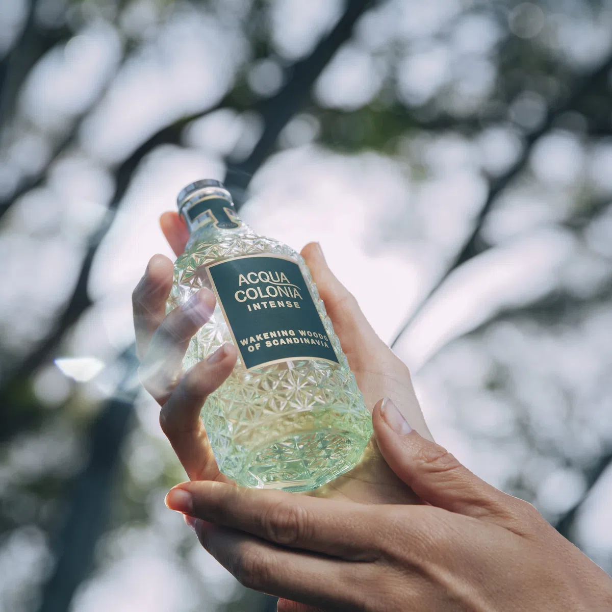 4711 Acqua Colonia Intense Wakening Woods of Scandinavia Eau de Cologne 50ml Natural Spray