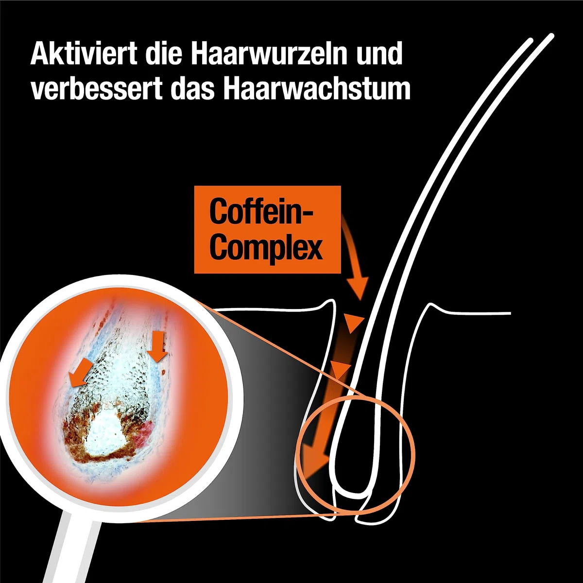 Alpecin Coffein-Shampoo C1 Black Edition - 6 x 250 ml - mit neuem Duft | Natürliches Haarwachstum für Männer | Energie für kräftiges Haar | Haarpflege für Männer - Made in Germany