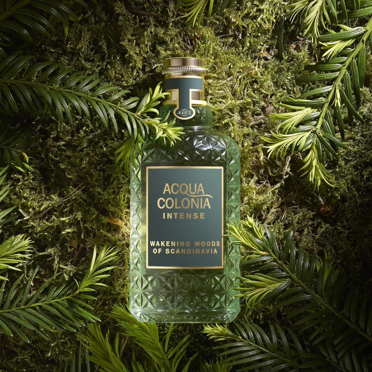 4711 Acqua Colonia Intense Wakening Woods of Scandinavia Eau de Cologne 50ml Natural Spray
